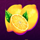 mr first coins lemons symbol icon