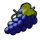 multi wild grape symbol icon