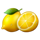 multi wilds fresh lemons symbol icon