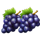 multi wilds purple grapes symbol icon
