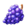multihot pot grape symbol icon