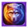 mustang hold and win wolf symbol icon