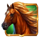 mustang rush horse symbol icon