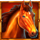 mystic chief horse symbol icon