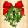 naughty or nice mistletoe symbol icon