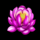 new year rising flower symbol icon