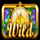 new years celebration wild symbol icon