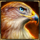 night wolf hold and hit eagle symbol icon