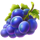 noble crown grapes symbol icon