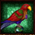 novomatic red lady parrot symbol icon