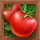 nuclear tumble tomato symbol icon