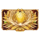 nuwa deluxe flower symbol icon