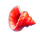ocean journey red shell symbol icon