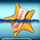 ocean princess yellow star symbol icon