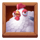 oink farm chicken symbol icon