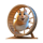 only whiskers in the building hamster symbol icon