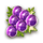 opal fruits grape symbol icon