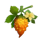 orango tango dragonfruit symbol icon