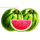 panda manda watermelons symbol icon