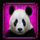 pandas run pink panda symbol icon