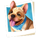 paris touch puppy symbol icon