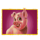 patch of heaven pig symbol icon