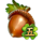 patricks party dice acorn symbol icon