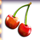 penny fruits cherry symbol icon