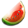 penny fruits melon symbol icon