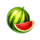pepper oins watermelon symbol icon