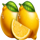 piggy bank coinstorm lemon symbol icon