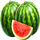 piggy bank coinstorm watermelon symbol icon