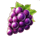 piggy coins grapes symbol icon