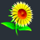 piggy payout sunflower symbol icon