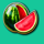 pin up 100 fruits melon symbol icon