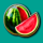 pin up fruits melon symbol icon
