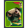ping pong panda pug symbol icon