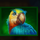 pirate chest hold and win macaw symbol icon
