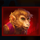 pirate chest hold and win monkey symbol icon