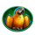 pirate golden age parrot symbol icon