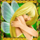 pixies of the forest pixie3 symbol icon