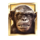 planet of the apes moneky 3 symbol icon