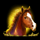 platipus gaming arabian tales horse symbol icon