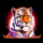 platipus gaming arabian tales tiger symbol icon