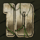 playtech king kong 10 symbol icon