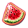 plum wild melon symbol icon