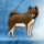 polar adventure dog symbol icon