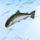 polar adventure fish symbol icon