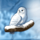 polar adventure owl symbol icon