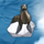 polar adventure seal symbol icon